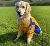 2020-supporters-pics-04