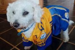 2020-supporters-pics-07