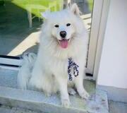 2020-supporters-pics-17