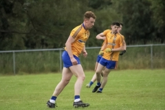 Senior League Division 1A Knockmore GAA v Davitts